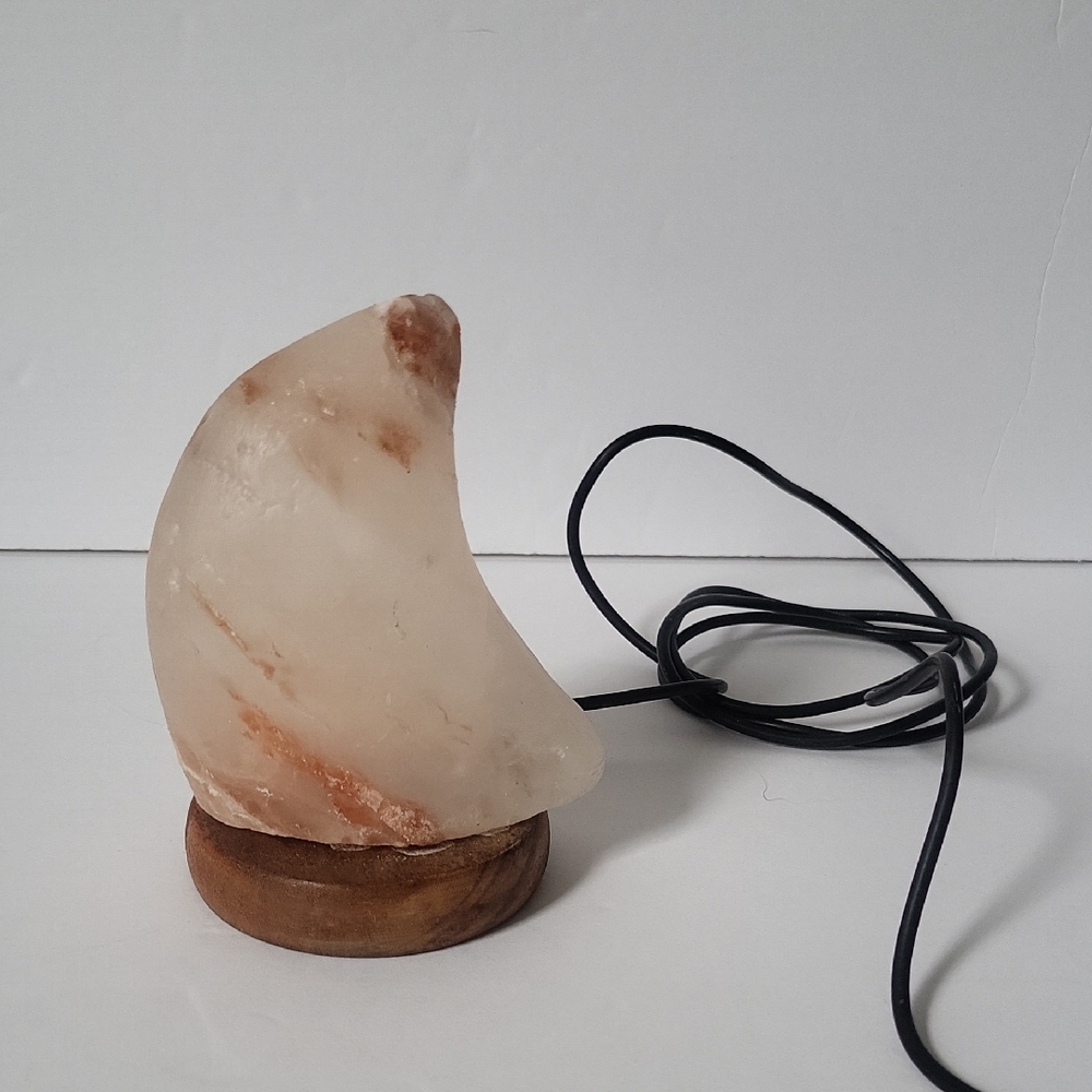 Curved Salt Lamp with Wooden Base